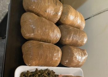 E/R: NACOC raids illicit drug dens at Oda; 14 suspects nabbed