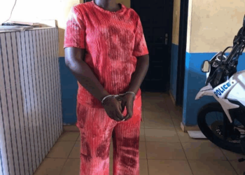 Woman arrested with 3,900 slabs of suspected indian hemp at Dogo Junction