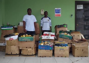NACOC intercepts 738 parcels of suspected cannabis bound for UK at Accra – Swiss Port