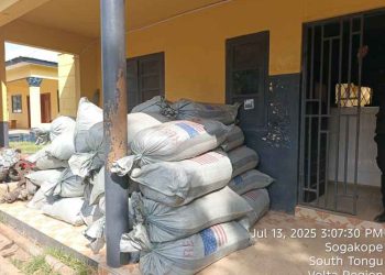 Cocoa anti-smuggling taskforce impounds over 295 bags in two weeks