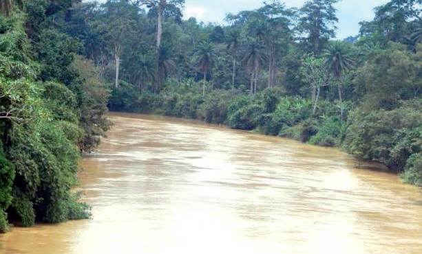 E/R: Two brothers drown in river at Asamankese