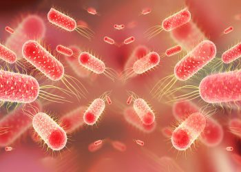 O/R: Typhoid outbreak claims lives of Chief and former Dambai MCE