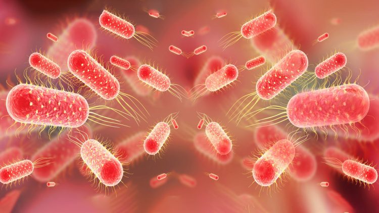 O/R: Typhoid outbreak claims lives of Chief and former Dambai MCE