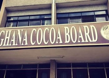 Gov’t did not engage us on new cocoa price – cooperative union cocoa farmers