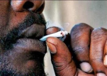 NACOC cells fully crammed with drug users – Dep. DG