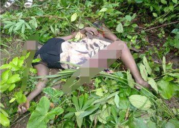 A/R: Woman found dead in bush with blood stains at Brehenase