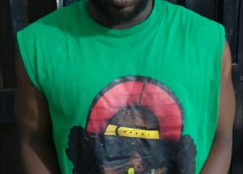 Police nab suspect in Omanjor palace attack