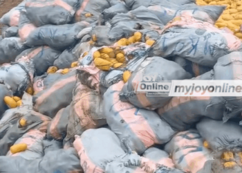 Over ¢12.6m worth of narcotic substance goes up in flames at Bundase