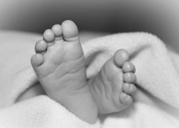 B/R: Premature baby found dead in dump site at Dabaa