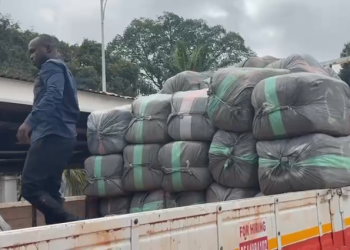 A/R: National Security destroys smuggled counterfeit diapers from Nigeria