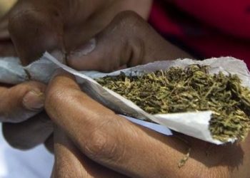 Wee packaged as tea bags found in SHS student’s backpack