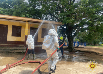 Bees raid Suhum Circuit Court