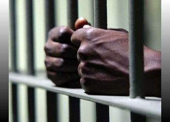 4 quack practitioners apprehended