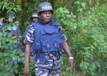 Akwatia by-election: I’m pleased with conduct of my officers – Yohuno