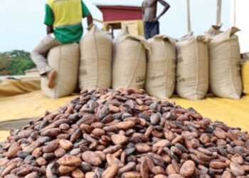 Gov’t announces ¢400 cocoa price increment per bag