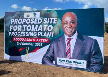 Agric Minister cuts sod for establishment of tomato processing factory in Agogo