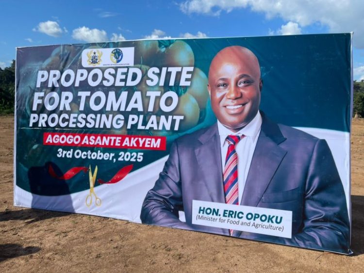 Agric Minister cuts sod for establishment of tomato processing factory in Agogo