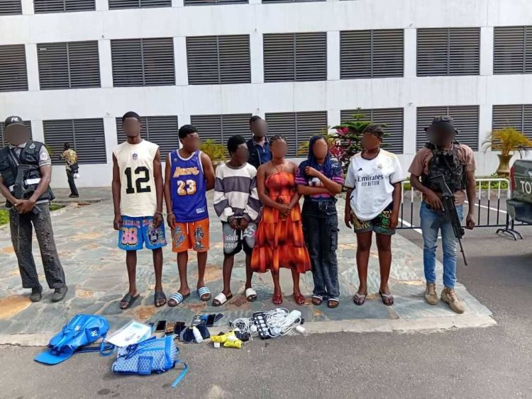 10 arrested for creating fake online food delivery platforms to defraud customers
