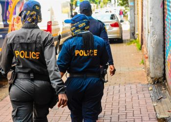 South African hospital worker arrested with human placentas