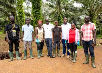 Finance Minister highlights massive job creation potential in Oil Palm sector 