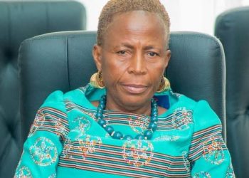 God will not send money from heaven, mining will continue – Ada MP